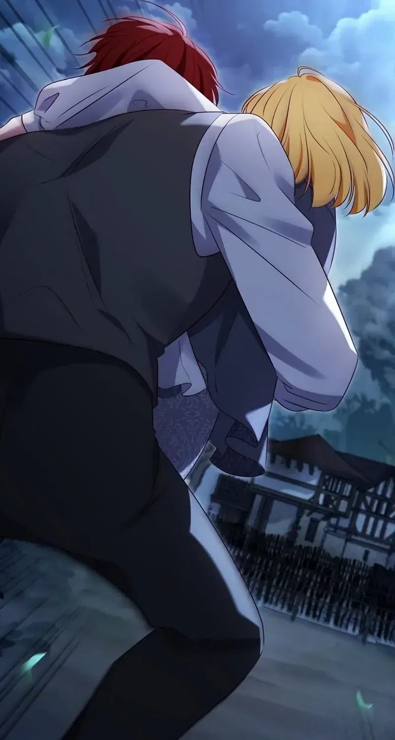 Leave the Divorce to a Professional Lawyer