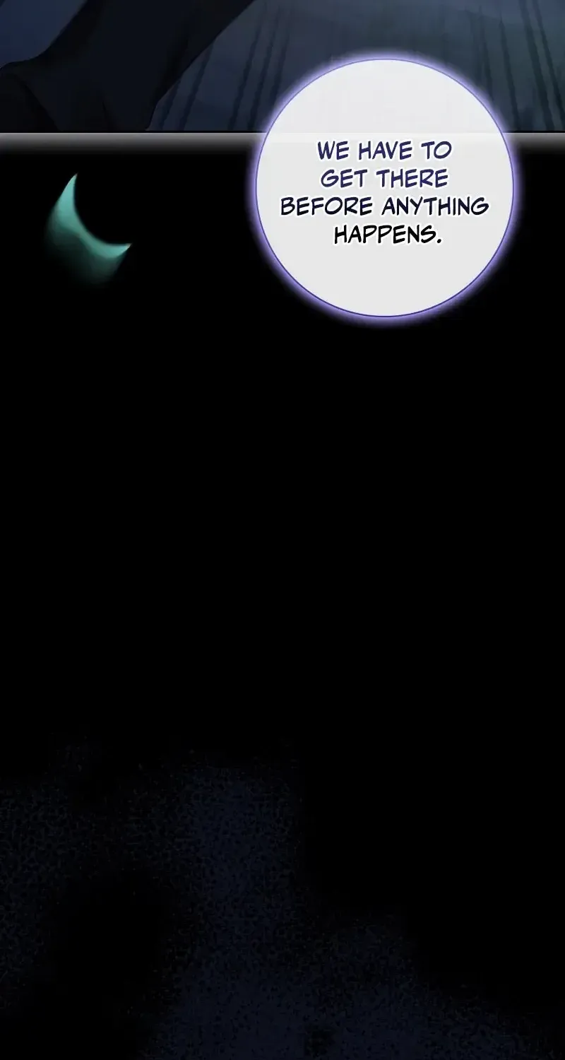 Leave the Divorce to a Professional Lawyer