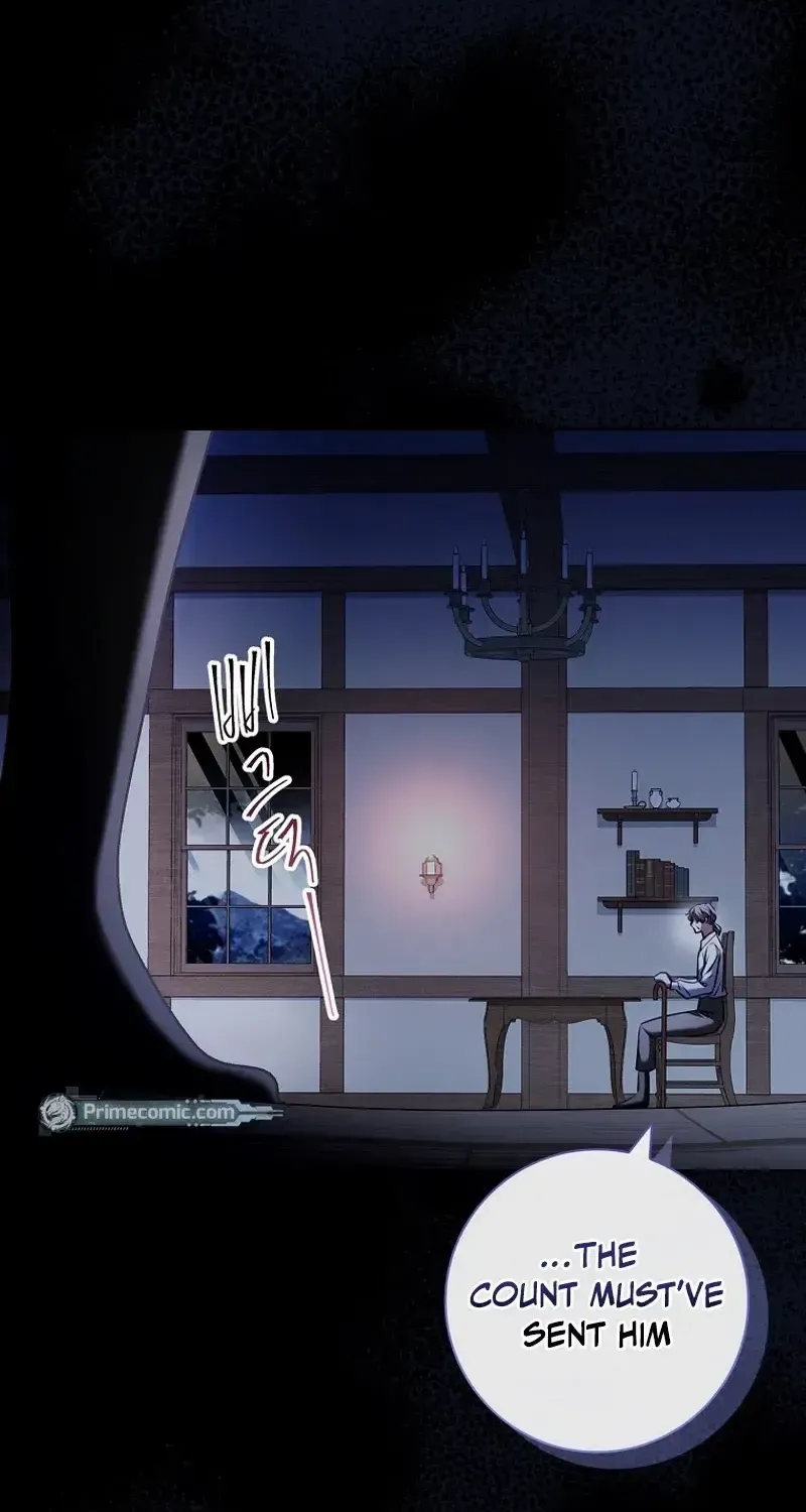 Leave the Divorce to a Professional Lawyer