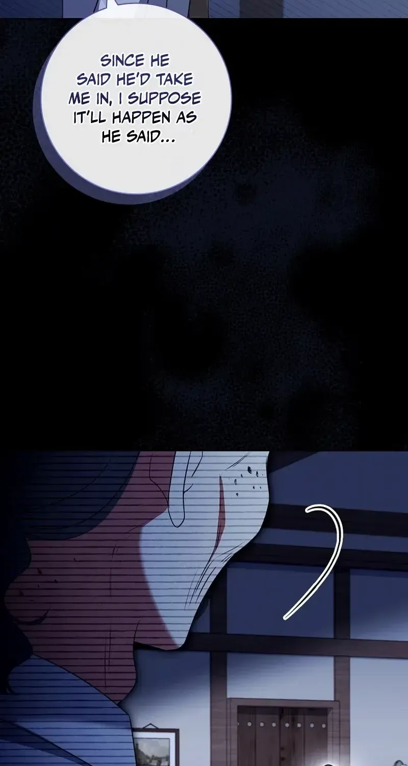 Leave the Divorce to a Professional Lawyer