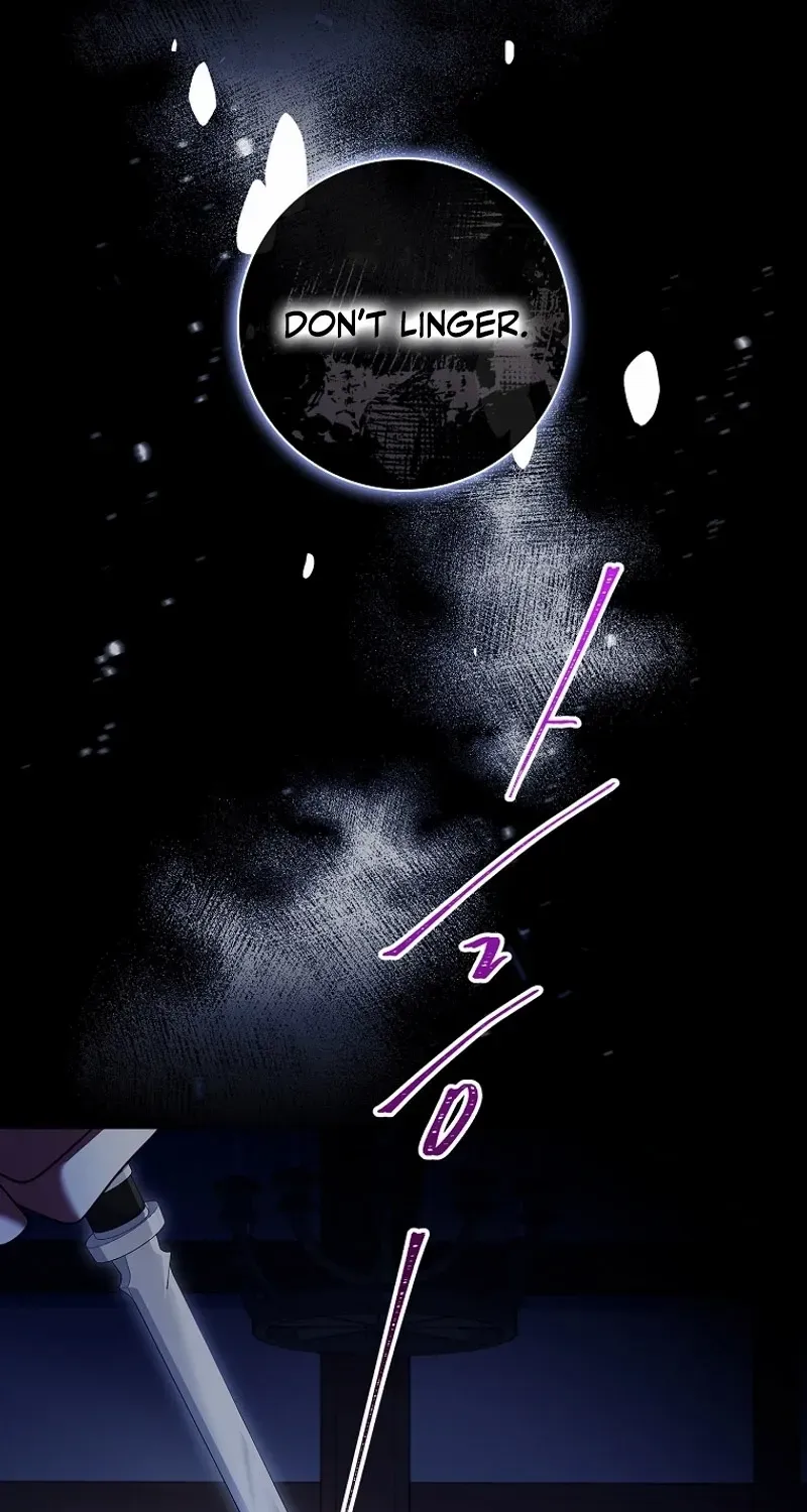 Leave the Divorce to a Professional Lawyer