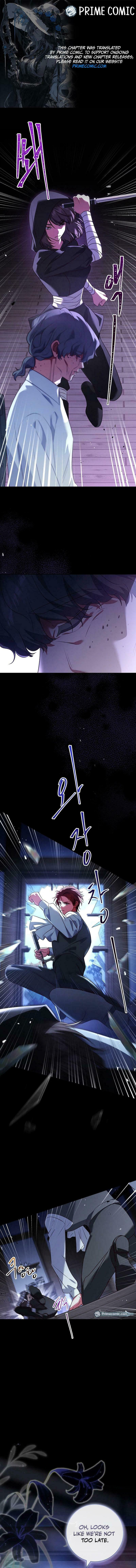 Leave the Divorce to a Professional Lawyer