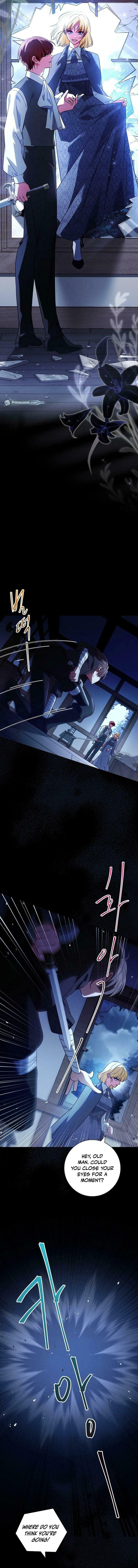 Leave the Divorce to a Professional Lawyer