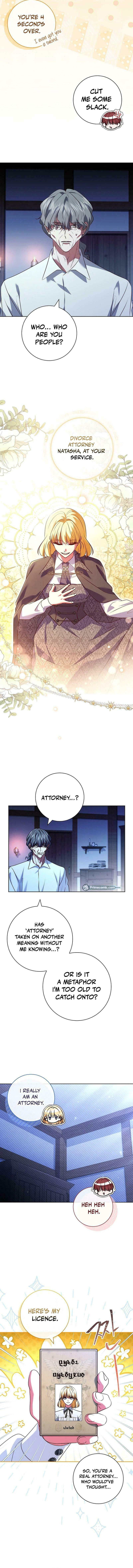 Leave the Divorce to a Professional Lawyer