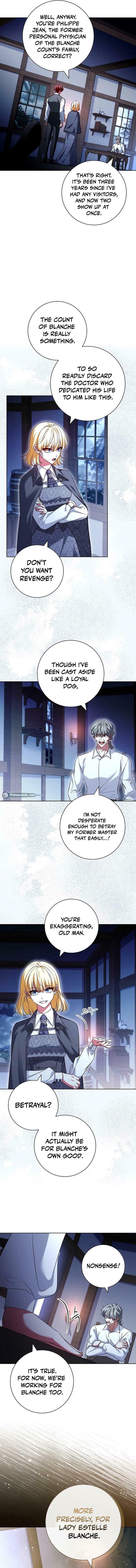 Leave the Divorce to a Professional Lawyer