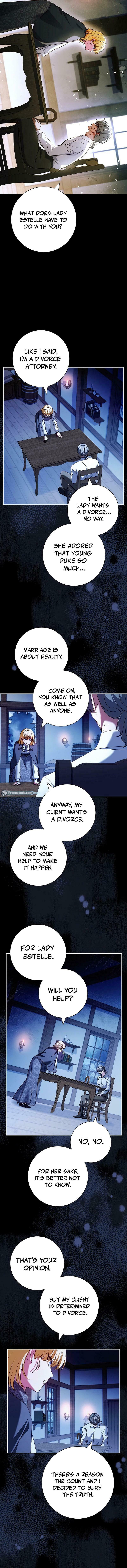 Leave the Divorce to a Professional Lawyer