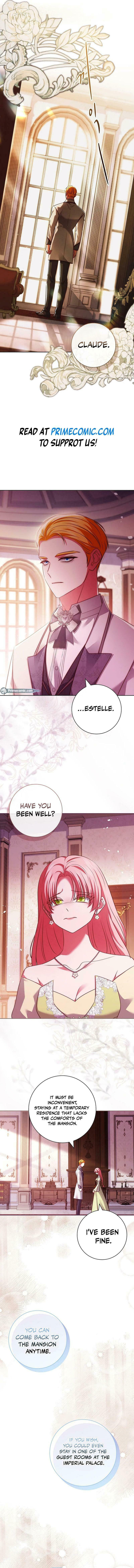 Leave the Divorce to a Professional Lawyer