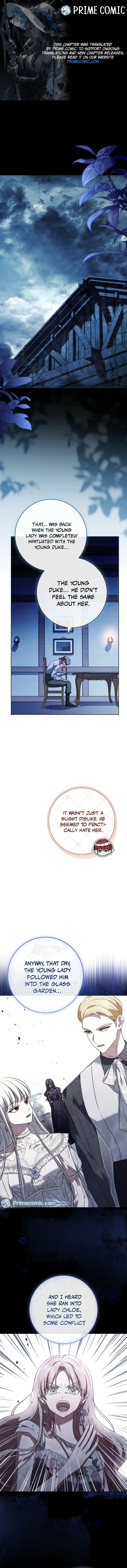 Leave the Divorce to a Professional Lawyer