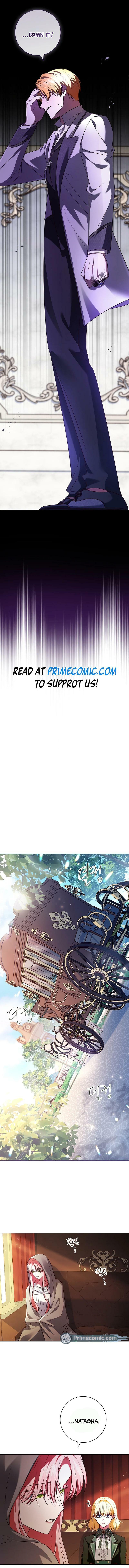 Leave the Divorce to a Professional Lawyer