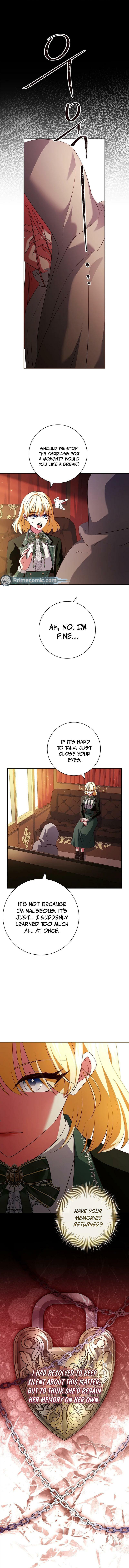 Leave the Divorce to a Professional Lawyer