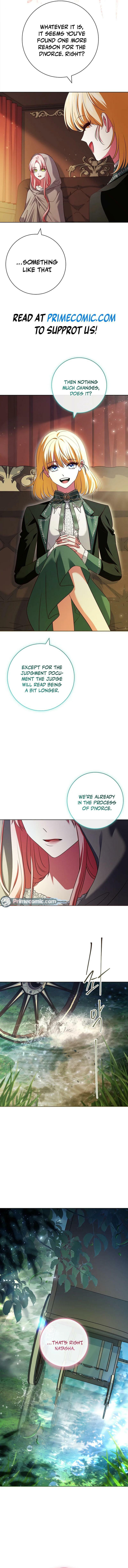 Leave the Divorce to a Professional Lawyer