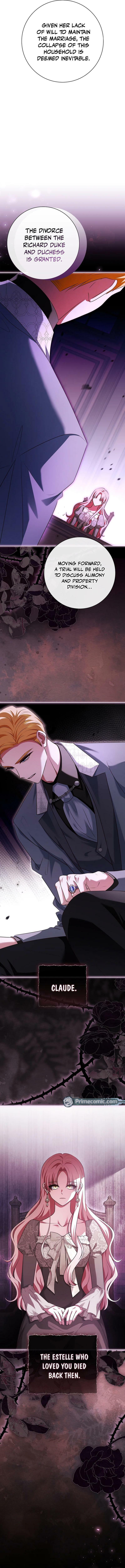 Leave the Divorce to a Professional Lawyer