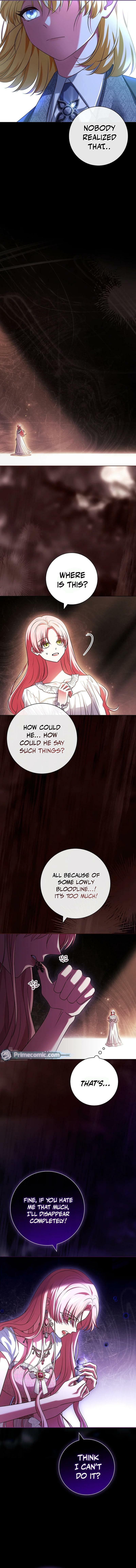 Leave the Divorce to a Professional Lawyer