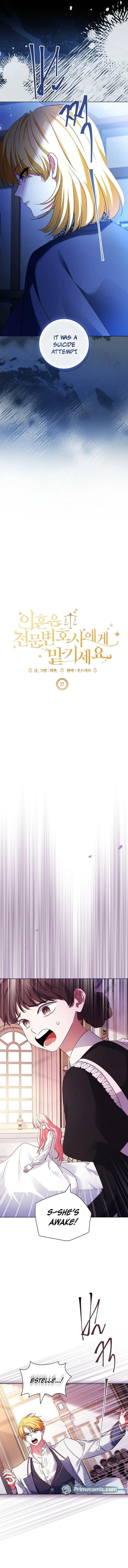 Leave the Divorce to a Professional Lawyer