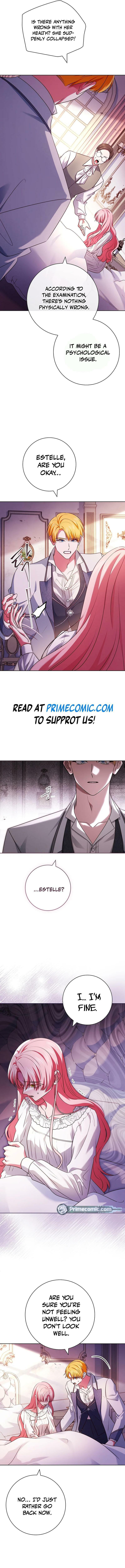 Leave the Divorce to a Professional Lawyer