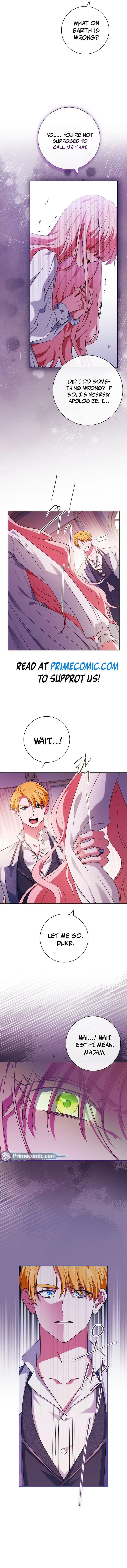 Leave the Divorce to a Professional Lawyer