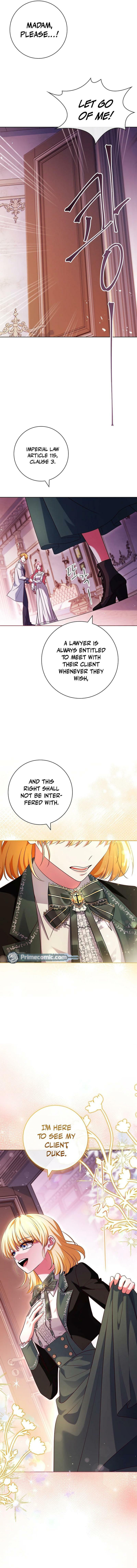 Leave the Divorce to a Professional Lawyer