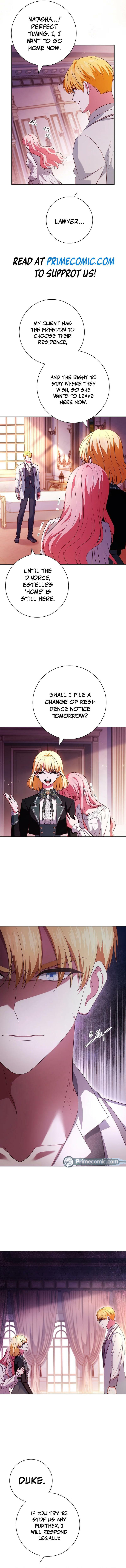 Leave the Divorce to a Professional Lawyer