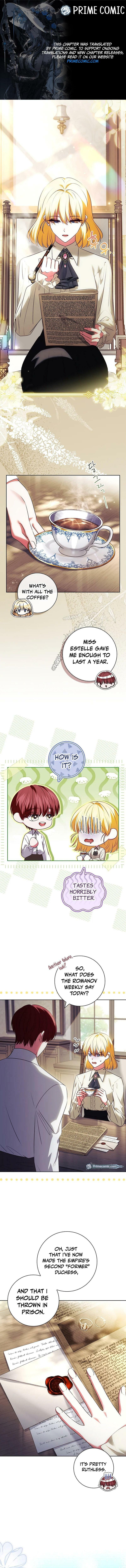 Leave the Divorce to a Professional Lawyer