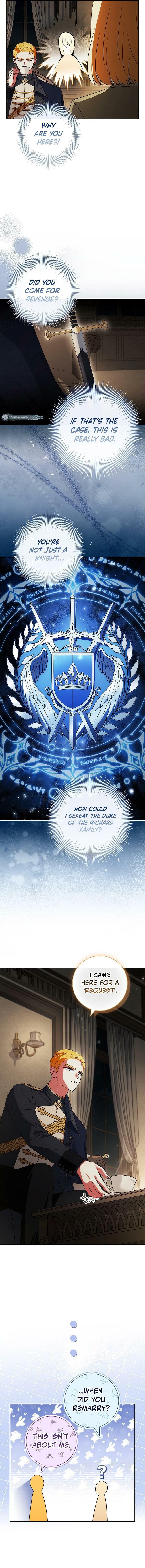 Leave the Divorce to a Professional Lawyer