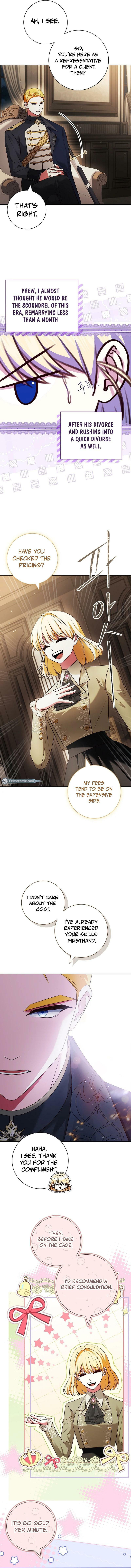 Leave the Divorce to a Professional Lawyer