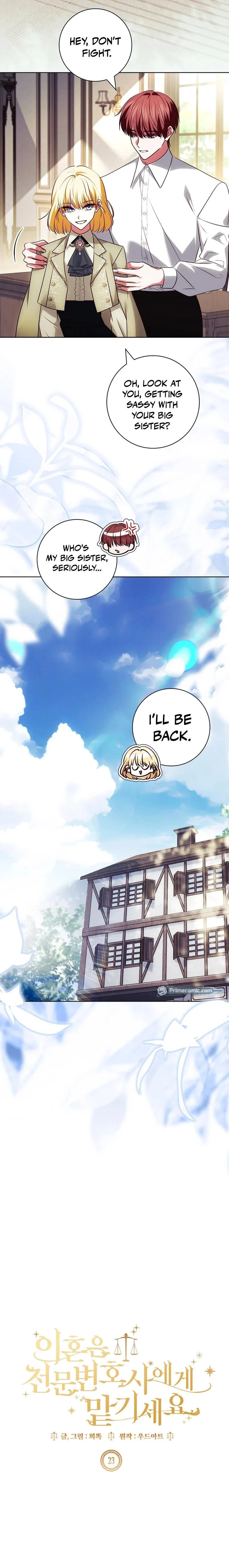 Leave the Divorce to a Professional Lawyer