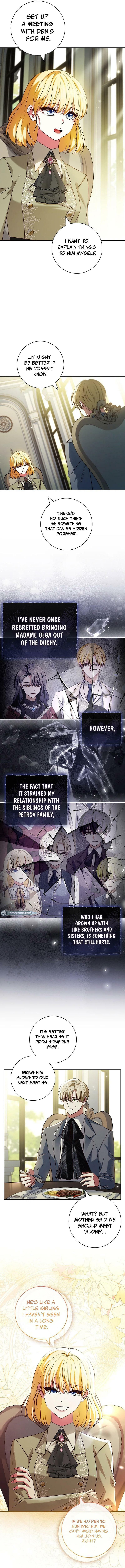 Leave the Divorce to a Professional Lawyer