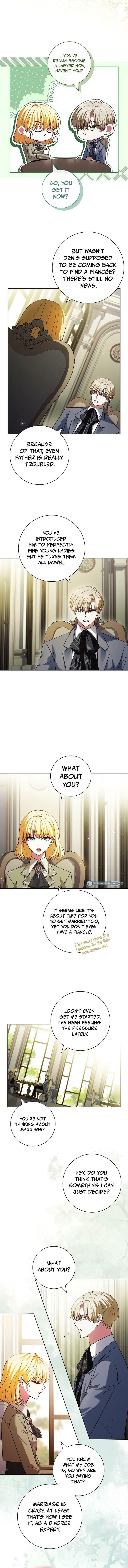 Leave the Divorce to a Professional Lawyer