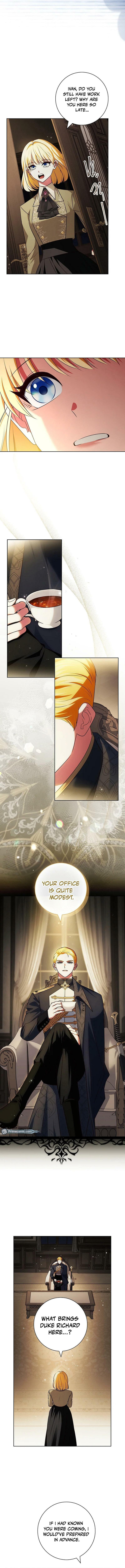 Leave the Divorce to a Professional Lawyer