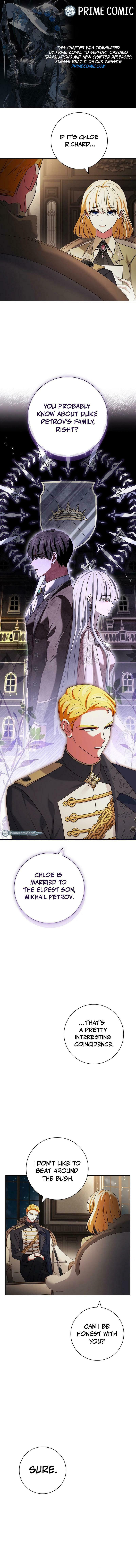 Leave the Divorce to a Professional Lawyer