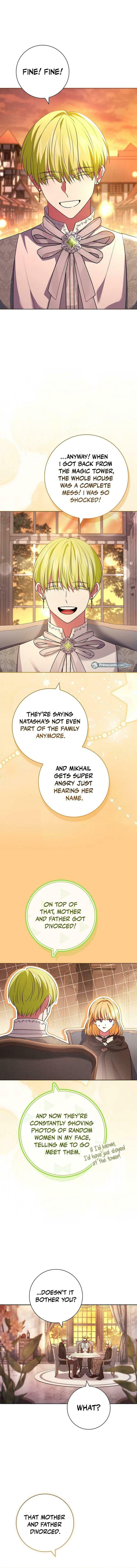 Leave the Divorce to a Professional Lawyer