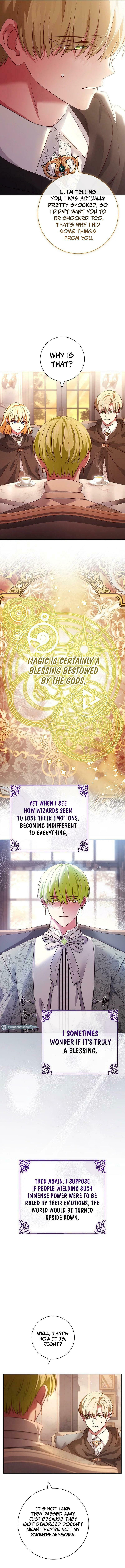 Leave the Divorce to a Professional Lawyer