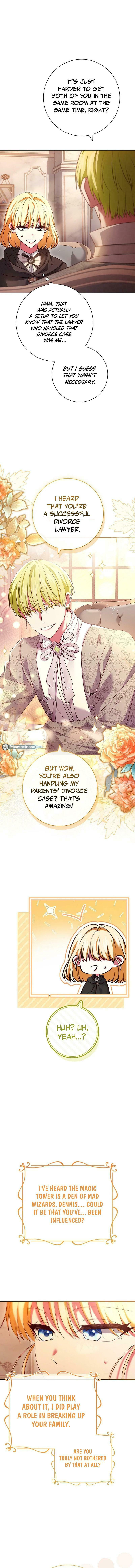 Leave the Divorce to a Professional Lawyer