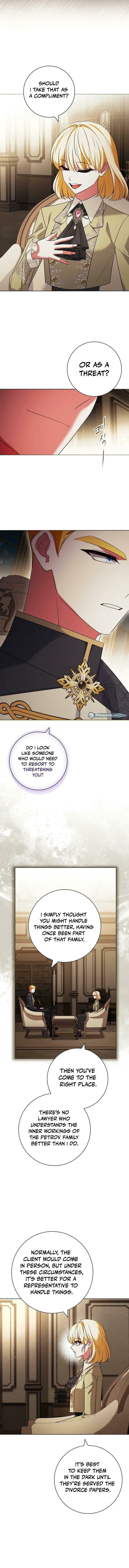 Leave the Divorce to a Professional Lawyer