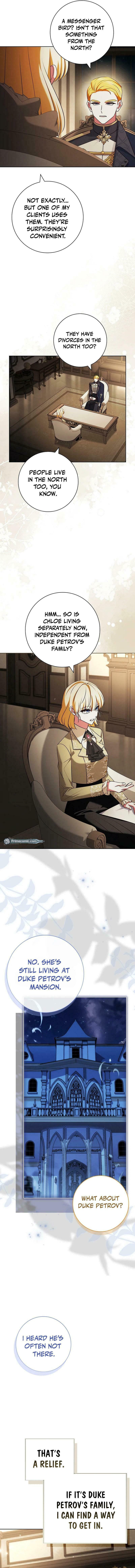 Leave the Divorce to a Professional Lawyer