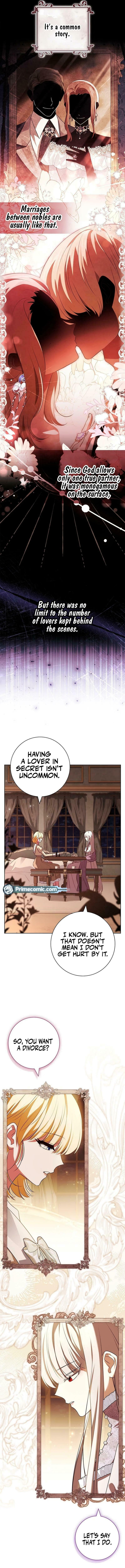 Leave the Divorce to a Professional Lawyer