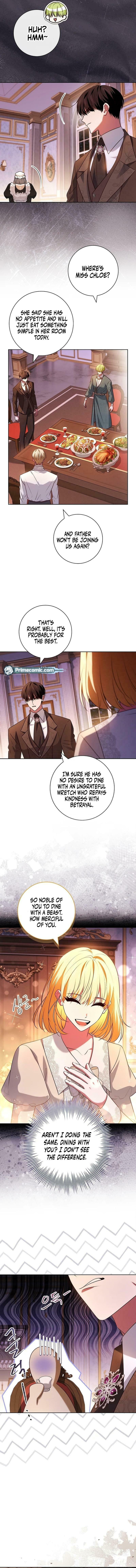 Leave the Divorce to a Professional Lawyer