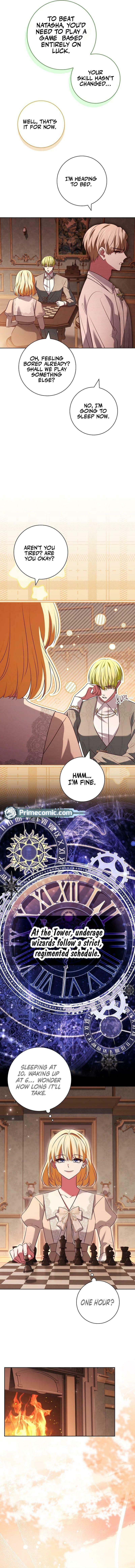 Leave the Divorce to a Professional Lawyer