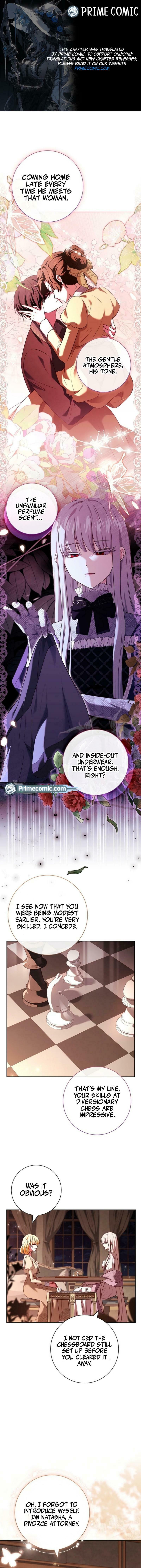 Leave the Divorce to a Professional Lawyer