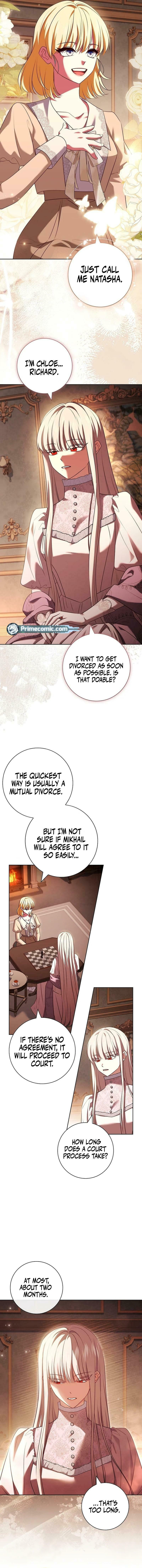 Leave the Divorce to a Professional Lawyer