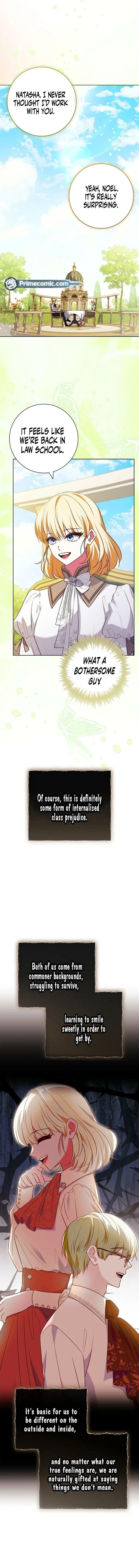 Leave the Divorce to a Professional Lawyer