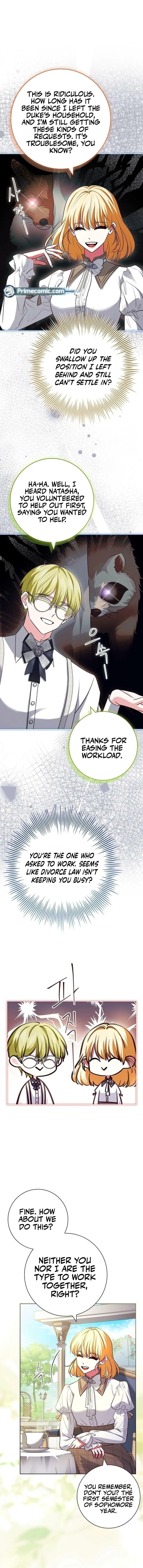 Leave the Divorce to a Professional Lawyer