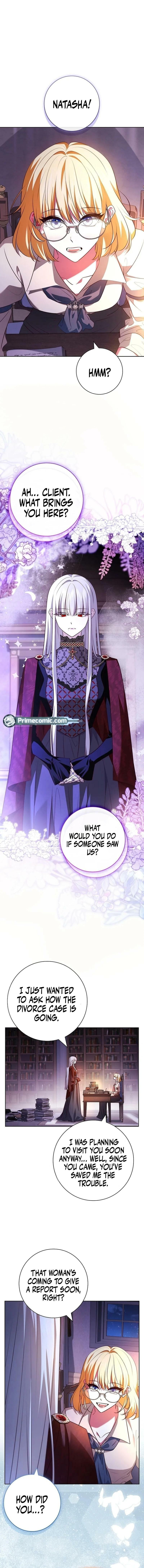 Leave the Divorce to a Professional Lawyer