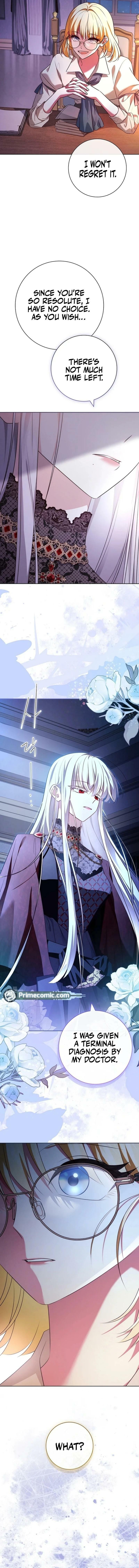 Leave the Divorce to a Professional Lawyer