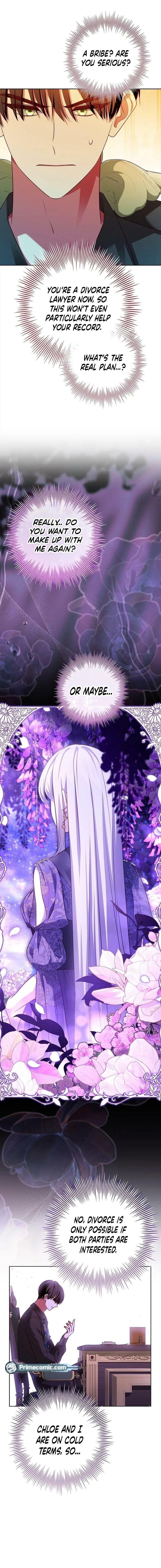 Leave the Divorce to a Professional Lawyer