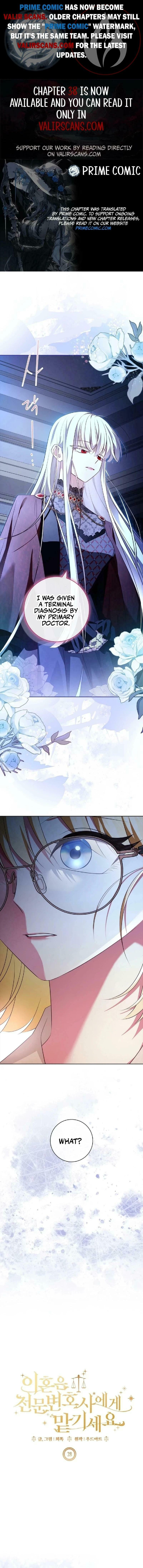 Leave the Divorce to a Professional Lawyer