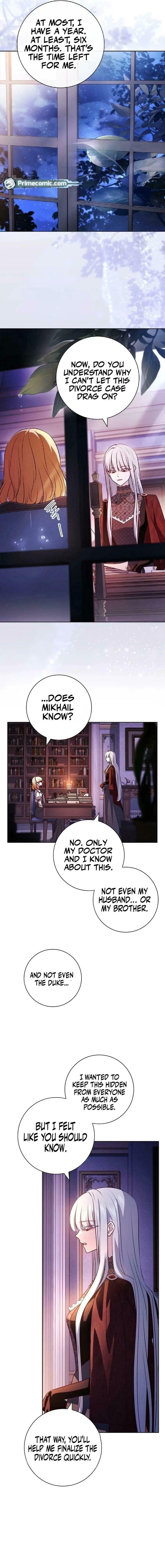 Leave the Divorce to a Professional Lawyer