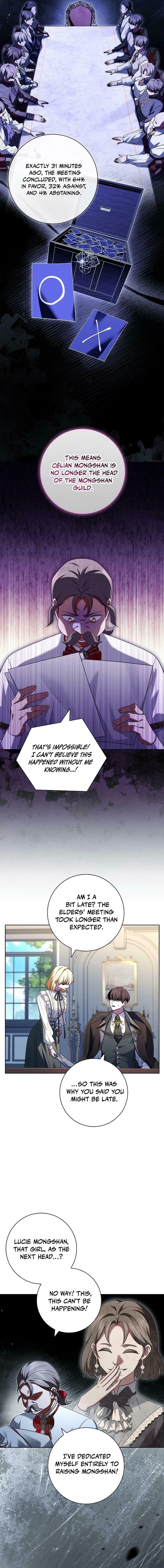 Leave the Divorce to a Professional Lawyer