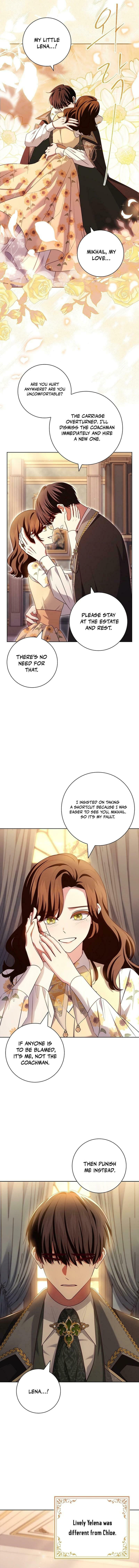 Leave the Divorce to a Professional Lawyer