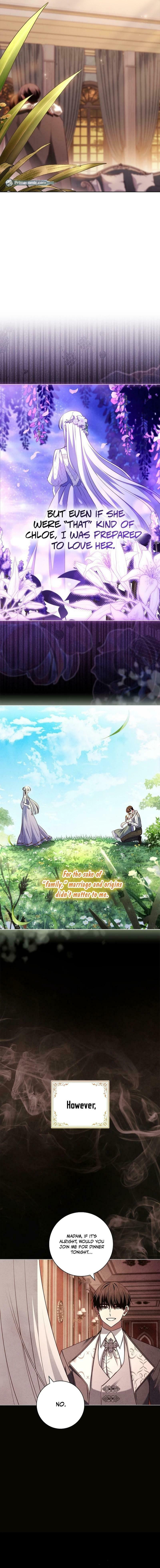 Leave the Divorce to a Professional Lawyer